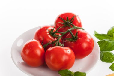 Su damlaları ile taze kırmızı domates