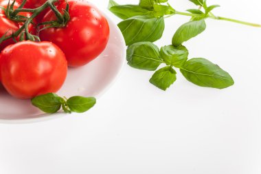 Su damlaları ile taze kırmızı domates