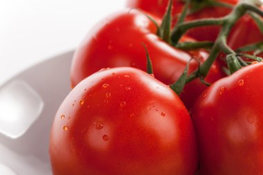 Su damlaları ile taze kırmızı domates