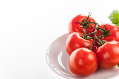 Su damlaları ile taze kırmızı domates