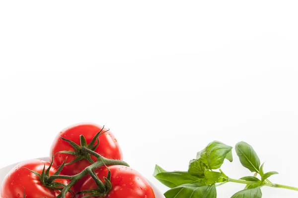 Tomates vermelhos frescos com gotas de água — Fotografia de Stock