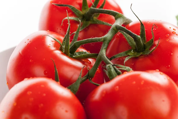 Tomates vermelhos frescos com gotas de água — Fotografia de Stock