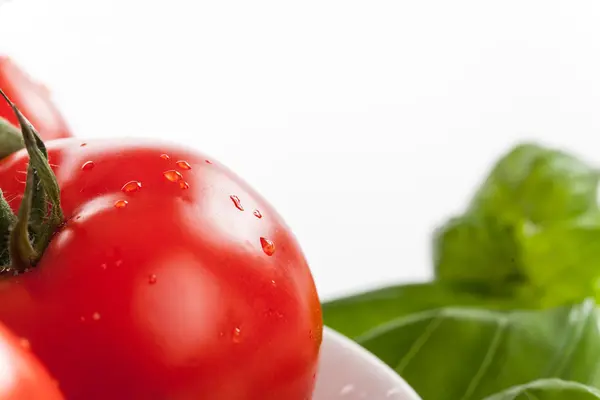 Tomates vermelhos frescos com gotas de água — Fotografia de Stock