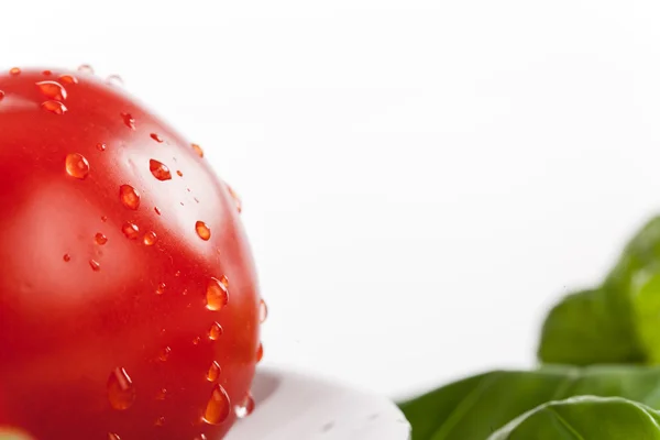 Tomates vermelhos frescos com gotas de água — Fotografia de Stock