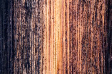 Arkaplan resmi. Yaşlı ağaç. Tahta duvar. Eskimiş doku. Kartpostal için arka plan. Doğal resim.