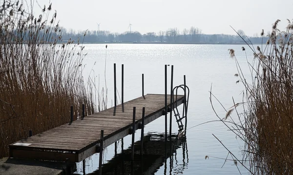 Barleber Lake near Magdeburg — Stock Photo, Image