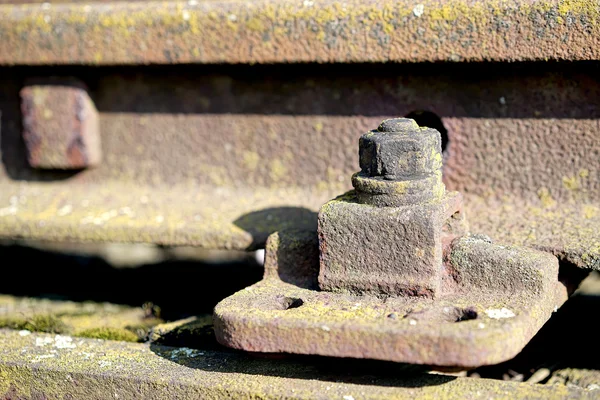 Old rusty screw — Stock Photo, Image
