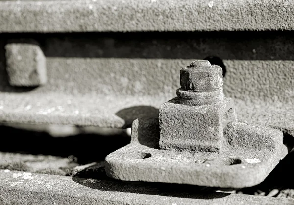 Old rusty screw — Stock Photo, Image