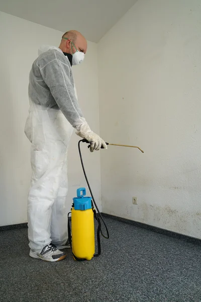 Schimmel in een appartement — Stockfoto