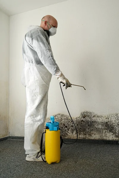 Schimmel in einer Wohnung — Stockfoto