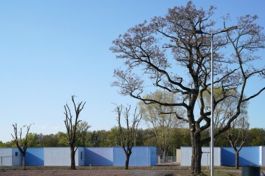 mülteci sığınak Almanya