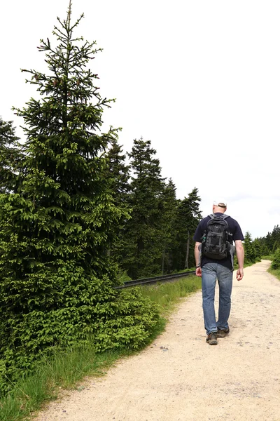 Walking in the Harz National Park — Stock Photo, Image
