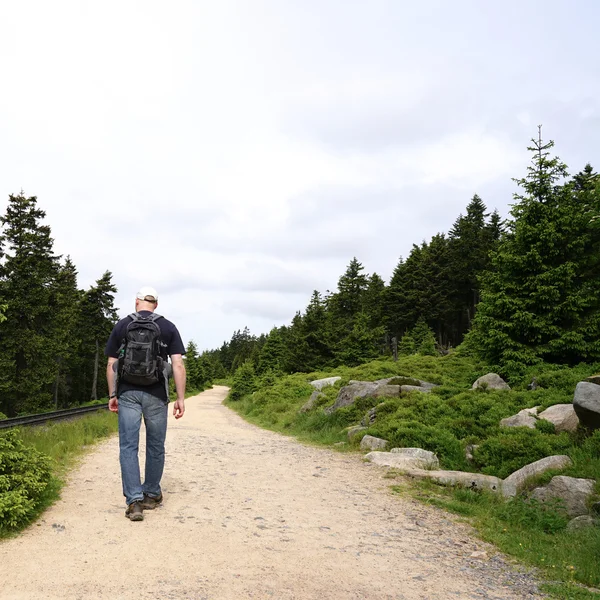 Wandelen in de Harz National Park — Stockfoto