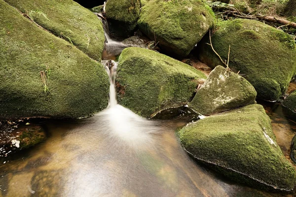 Nationalpark Harz — Stockfoto