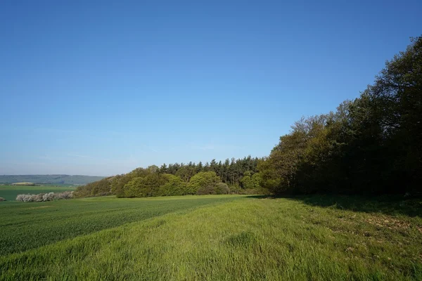 Parque Nacional Harz — Foto de Stock