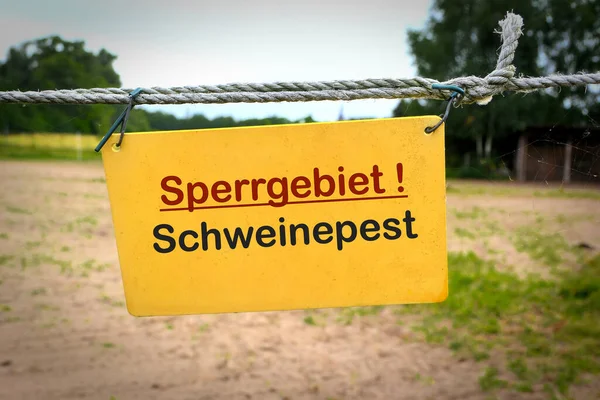 Sign Words African Swine Fever Restricted Area Sperrgebiet Schweinepest Fence — Stock Photo, Image