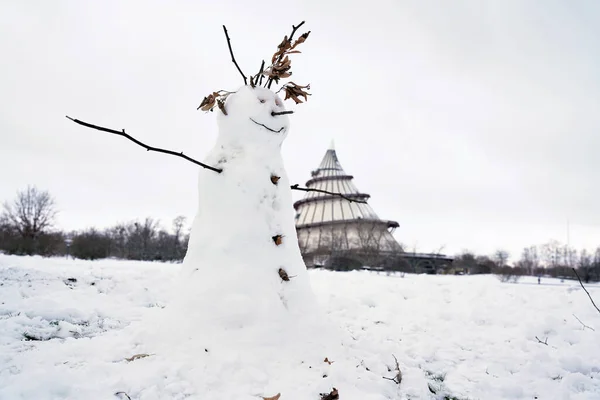Hombre Nieve Prado Magdeburgo Fondo Torre Del Milenio —  Fotos de Stock