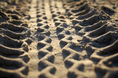  Swinoujscie yakınlarındaki Polonya Baltık sahilindeki lastik izleri.                              