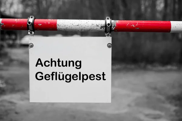 Podepište Vstupu Farmu Německu Nápisem Pozor Influenzu Ptáků Achtung Geflugelpest — Stock fotografie