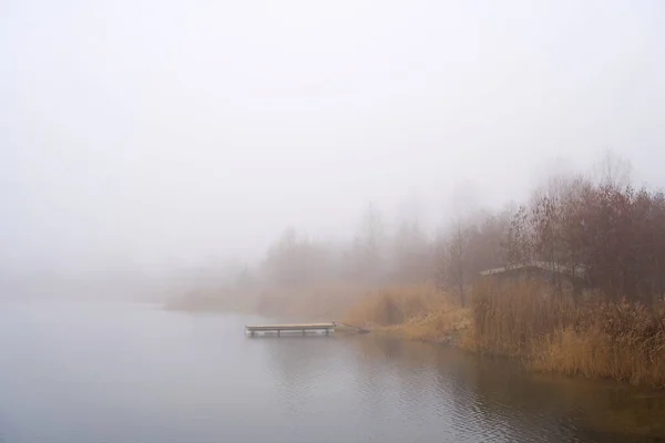 霧の中でドイツのマクデブルク近くの孤独な湖で穏やかなシーン — ストック写真