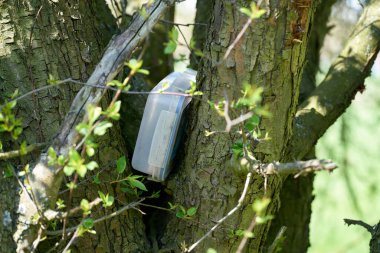  Almanya 'da Magdeburg yakınlarındaki Herrenkrugpark' taki bir ağaçta zulada saklanmış bir yer buldum.                               
