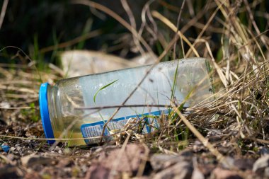  Almanya 'nın Magdeburg kentindeki bir çayırda çöp olarak boş sosis kavanozu.                               