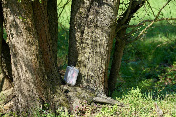 Encontrado Escondite Geocaching Con Alijo Una Caja Árbol Herrenkrugpark Cerca —  Fotos de Stock