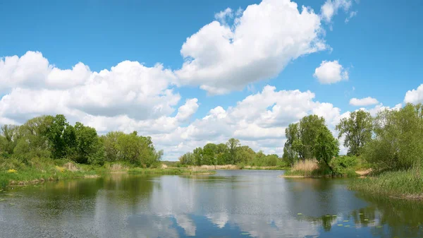 Idylová Řeka Ehle Obce Biederitz Magdeburgu Německu — Stock fotografie