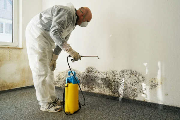 Specialist Het Elimineren Van Ernstige Schimmel Een Appartement — Stockfoto