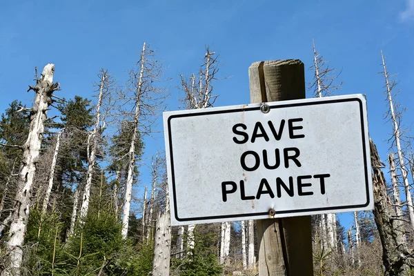 Assine Com Inscrição Salve Nosso Planeta Fundo Uma Floresta Morta — Fotografia de Stock