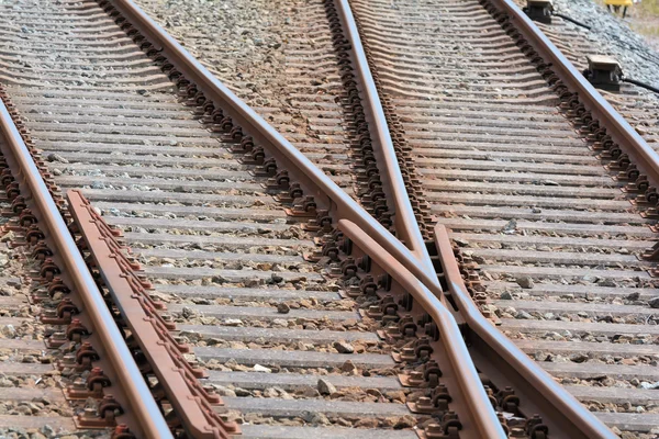 Railroad tracks Stock Image
