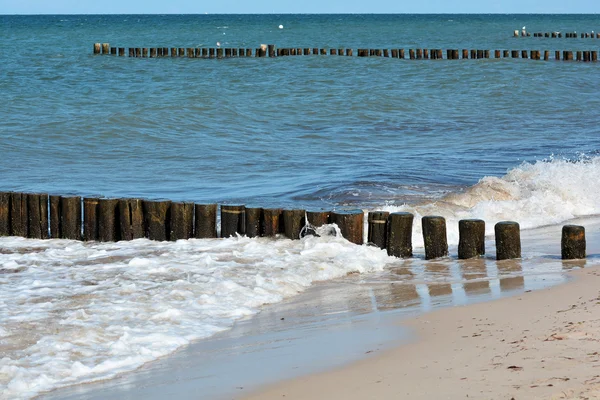 Baltic Sea beach — Stock Photo, Image