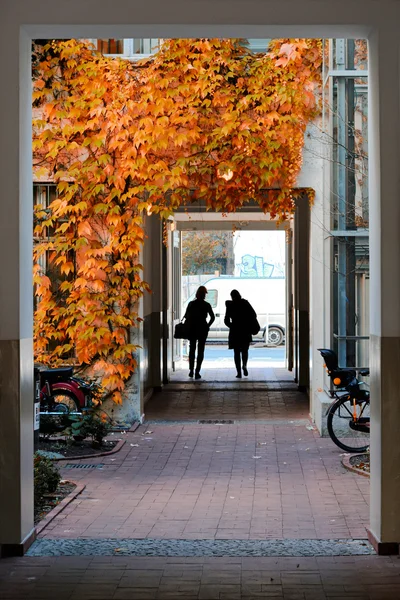 Two people — Stock Photo, Image