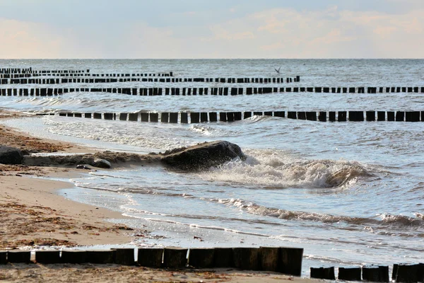 Baltık Denizi sahilde — Stok fotoğraf