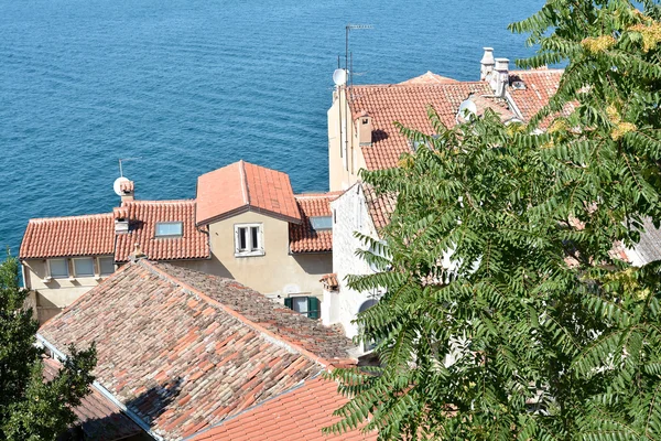 Rovinj. — Foto de Stock