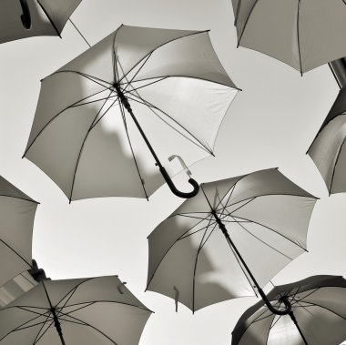 Hırvatistan dekorasyon olarak şemsiye