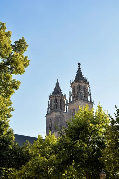 Der Magdeburger Dom — Stockfoto