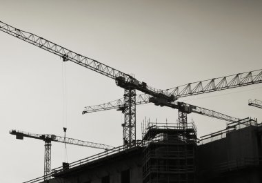 Berlin'de Vinçler