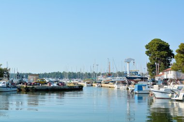 Novigrad bağlantı noktası