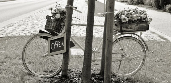 Bir çiçekçi dükkanı önünde dekorasyon — Stok fotoğraf