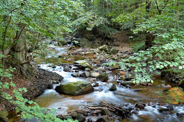 El río Ilse — Foto de Stock