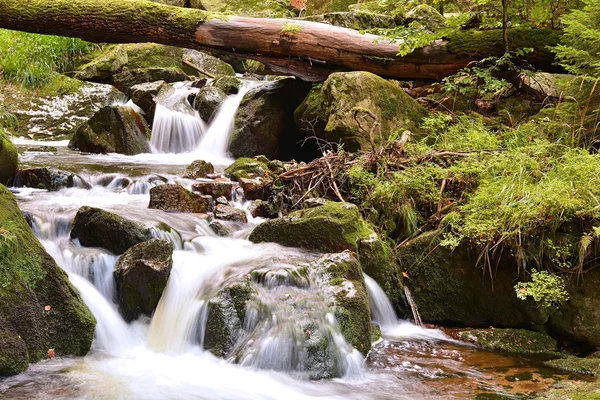 Parque Nacional Harz — Foto de Stock