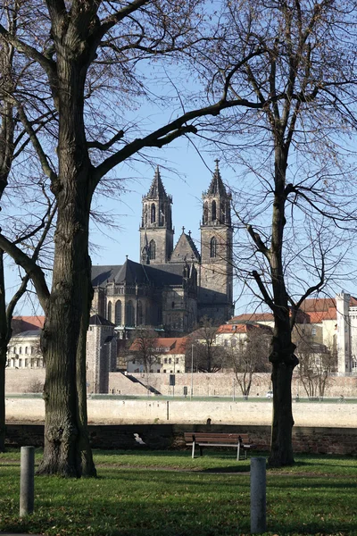 Der Magdeburger Dom — Stockfoto