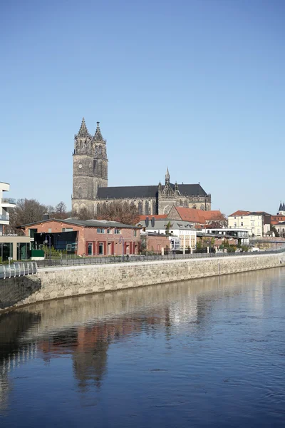 The Magdeburg Cathedral — Stock Photo, Image