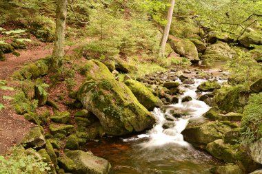 Harz Ulusal Parkı