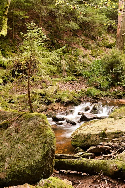 Parque Nacional Harz — Foto de Stock