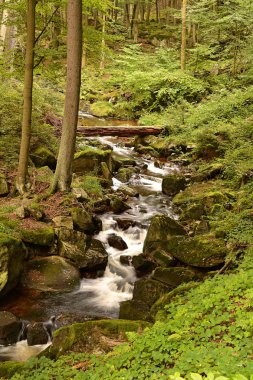 Harz Ulusal Parkı