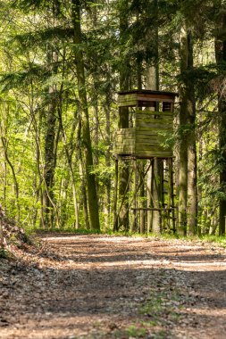 Yeşil arka planlı, ormanın kenarındaki avcı yüksek koltuğu.