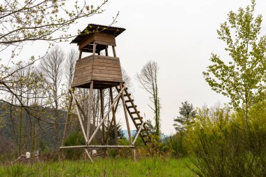 Avcı yüksek koltuğu ormanın kenarında, arka planda hafif bir çayırın önünde.