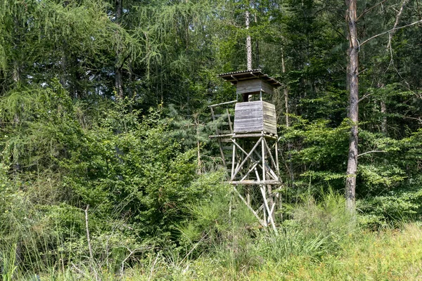 夏の山の斜面に木があるハンターの高い席 — ストック写真